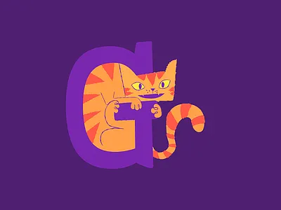 Gato cat chat gato