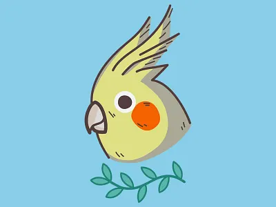 Cockatiel animal bird birds cockatiel illustration nature