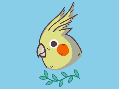 Cockatiel animal bird birds cockatiel illustration nature