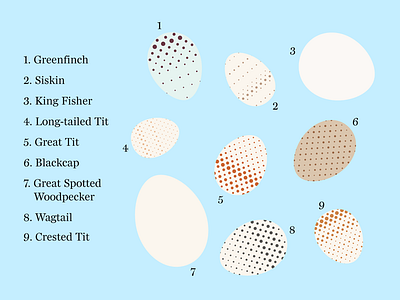 Eggs Vol. 2