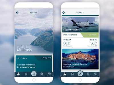 Profile Cards cards customtabbar dashboard destinations jets luxury profile scroll travel