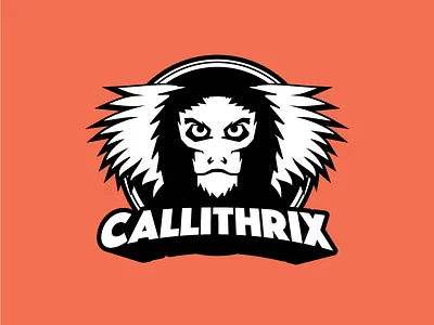 Callithrix Ultimate Frisbee Jersey callithrix commom marmoset frisbee jersey marmoset monkey
