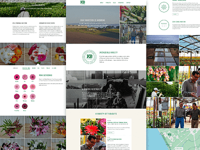 Kb Farms Website flowers kb farms website