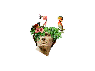 Collage Julio Cesar animal art artcollage bird collage design illustration juliocesar nature photoshop surrealism white