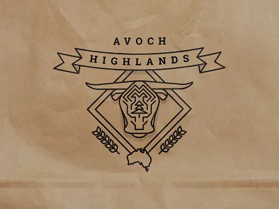 Highland Cattle cattle highland