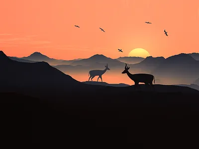 Nature Sunset adventure birds deer landscape love mountains nature sky sunset travel udaipur wild