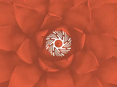 Medical Logotype kinetic logo logotype medical app organic sun
