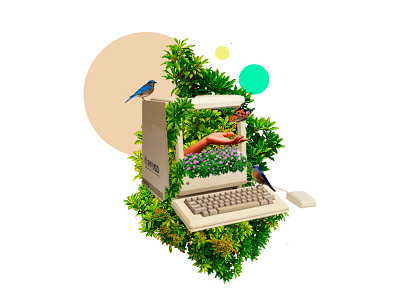 Collage web design animals art artcollage birds collage design dribbble illustration nature photoshop surrealism