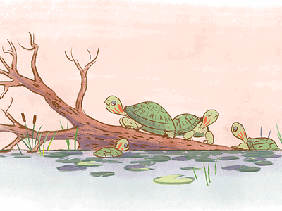 Nobody here but us turtles animal illustration nature turtle