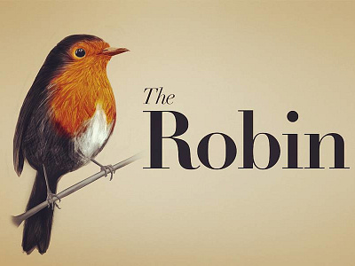 The Robin art bird illustration logo robin