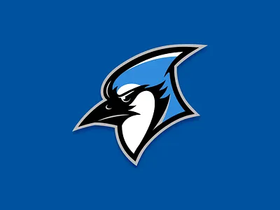 Bluejay beak bird blue bluejay feathers mascot sports