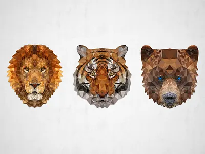 Oh My animals art bear design geometric graphic lion poly series shapes tiger