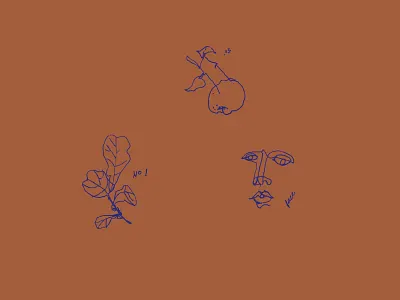 Scribbble blind contour drawings flow rap scribble