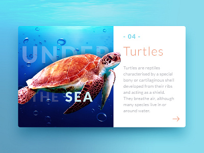 Under the Sea card ocean sea turtle ui