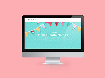 Little Bundle Names design hipster homepage ireland landing layout logo logotype pattern ui ux website