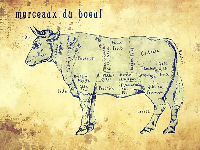 Morceaux du Boef beef bovine bull butchers butchery cattle cow filet steak illustration meat roast beef sirloin of beef