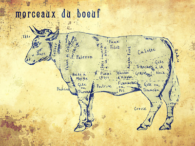 Morceaux du Boef beef bovine bull butchers butchery cattle cow filet steak illustration meat roast beef sirloin of beef