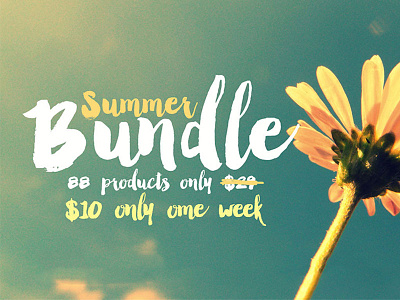 Summer Bundle 88 Products only $10 badges brushes bundle font fonts graphics insignia logos retro subtle vintage web kit