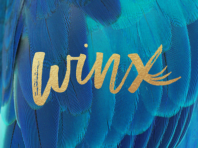 Winx Eyelash Studio beauty branding eyelash logo makeup studio weddings