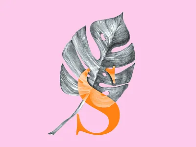 Leaf & Letter font letter mixed pencil serif sketch typography