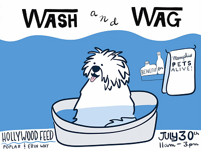 Dog Wash Flyer cute dog dog wash illustration
