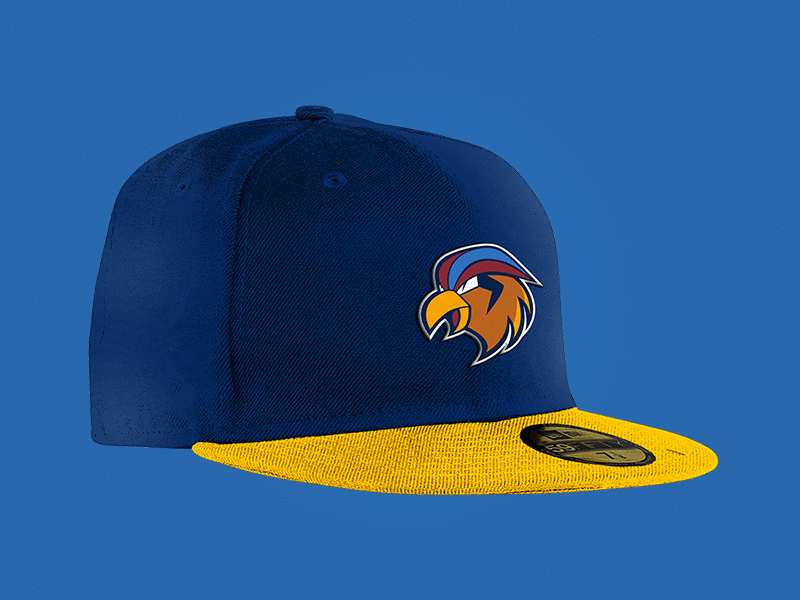 The Pokemon League Collection apparel branding caps clothing fitted gear gif hats logo new era pokemon sports