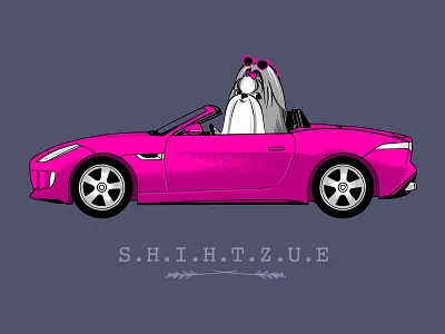 SHIHTZUE animals car cute dog jaguar kawaii.vehicle puppies puppy shih tzu vintage