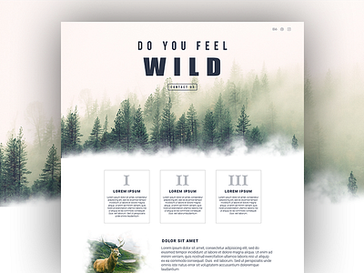 Feel Wild landing onepage site ui ux web web design
