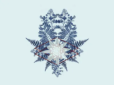 Floral floral flower flower illustration geometric illustration nature