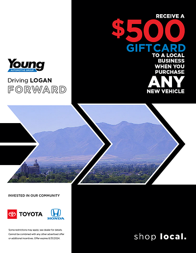 Flyer for Young Honda Young Toyota_Cache Valley_Shop Local boringturnedfun cachevalley colorblocking flyer graphicdesign grids shape typography vector