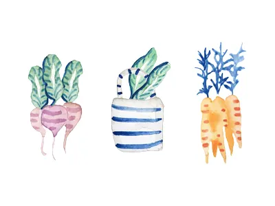 Farmers Market Veggies blue carrot concept design farmers market healthy illustration leaves vegan vegetables vegetarian watercolor