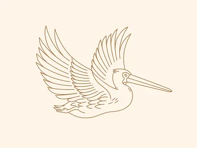 Pelican option 3 beer bird branding flat florida label orange packaging pelican sun