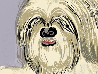 Vancouver Loves Their Dogs #5 brushes citylife dog dogs drawing hair illustration photoshop