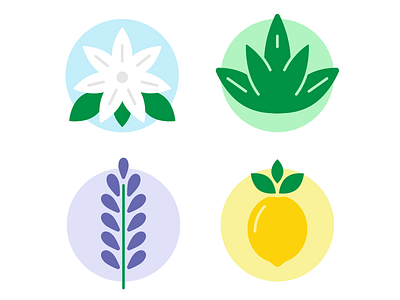 Oils that are Essential colorful eucalyptus flower fruit icon iconography illustration jasmine lavender lemon