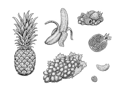 Fruits banana berries food illustration fruits grapes nature orange pineapple pomegranate raspberry strawberry