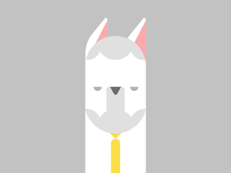 Lama pacos motion