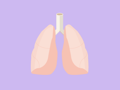 Cancer Prevention cancer checkup clinic health hospital icon illustration lungs organs prevention