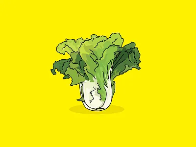 Cabbage cabbage illustration jade