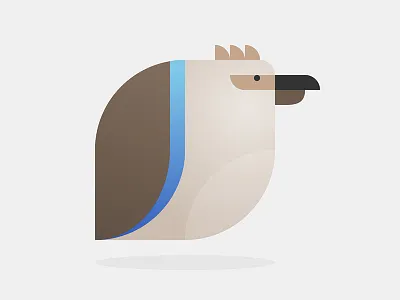 Kookaburra abstract bird illustration kookaburra shapes