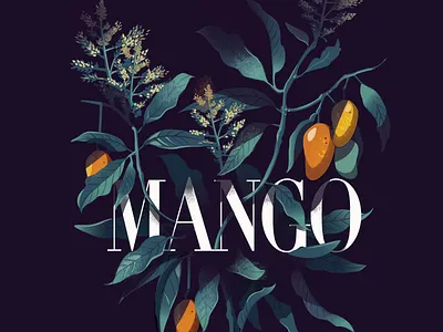 Mango - Mystery Project alphanso dark flowering india mango plant summer vector