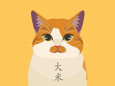 My cat "大米" animal cat face