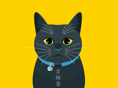Cat of friend"吉姆酱" animal cat face