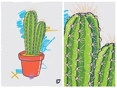 Cactus no.3 cactus design fun illustration plants