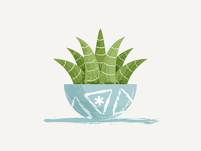 potted plant illustration plant pot succulent