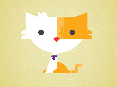 Kitten animal cat character fur humane society kitten pet playful
