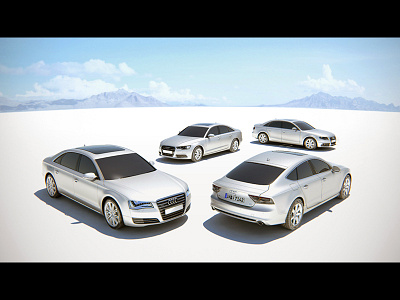 Audi Look Test 3d a4 a6 a7 a8 audi car look test