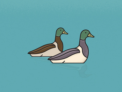 Ducks bird duck illustration pond quack