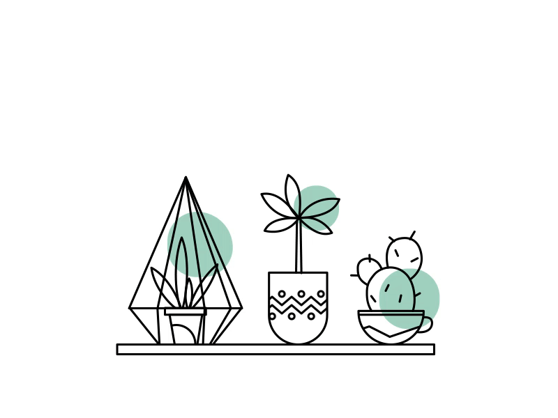 Motion botanist cactus line motion plant