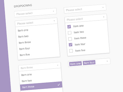 Form Styleguide check design dropdown forms selected styleguide tick ui