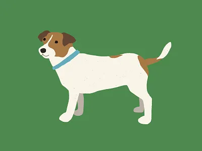 Jack the dog dog dogs flat illustration jack russell simple